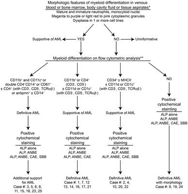 Dogs with Acute Myeloid Leukemia Have Clonal Rearrangements in T and B Cell Receptors